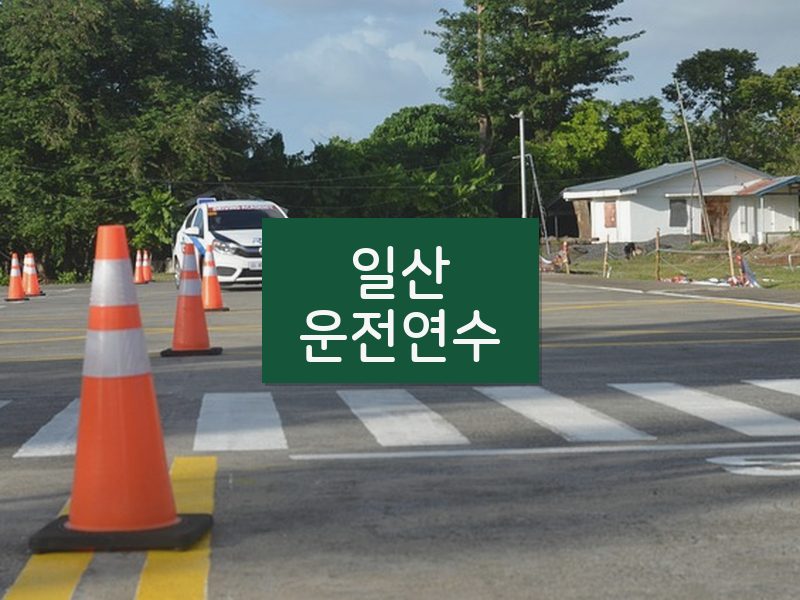 일산운전연수 후기