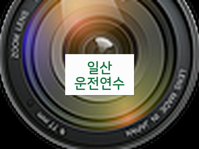 일산운전연수 후기