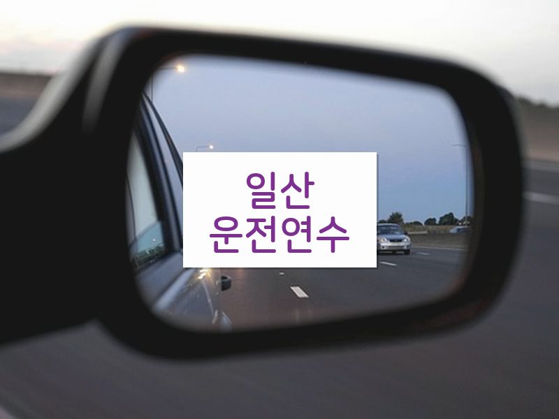일산운전연수 후기