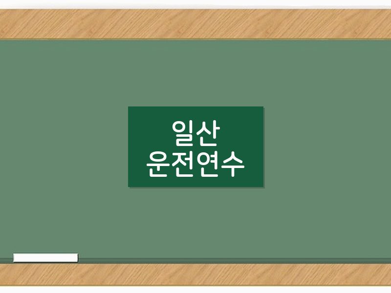 일산운전연수 후기