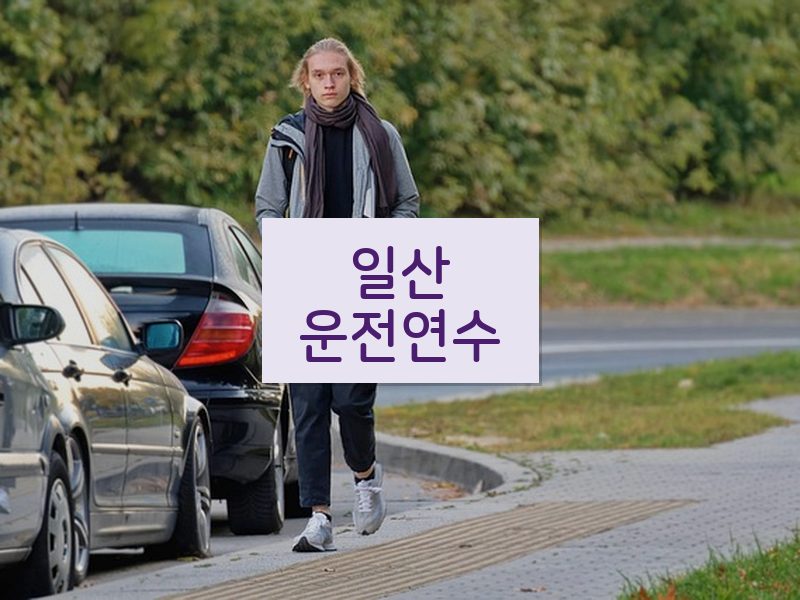 일산운전연수 후기