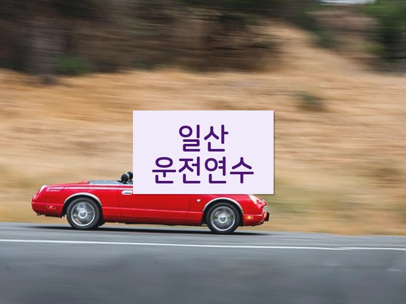 일산운전연수 후기