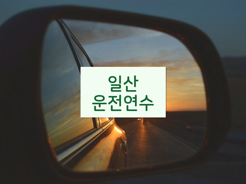 일산운전연수 후기