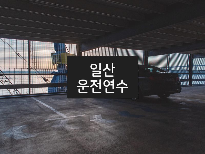 일산운전연수 후기