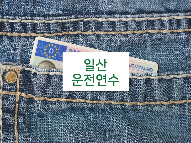 일산운전연수 후기