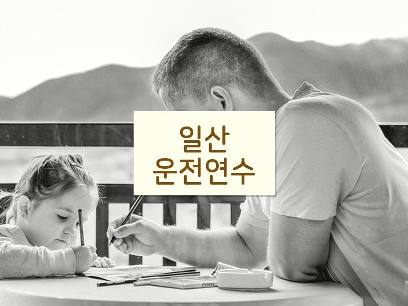 일산운전연수 후기