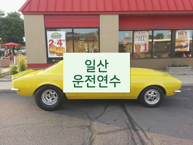 일산운전연수 후기