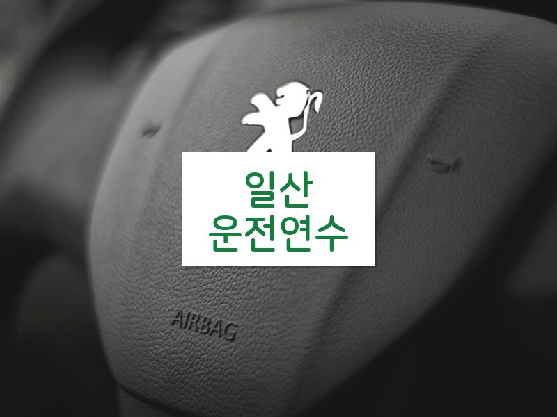 일산운전연수 후기
