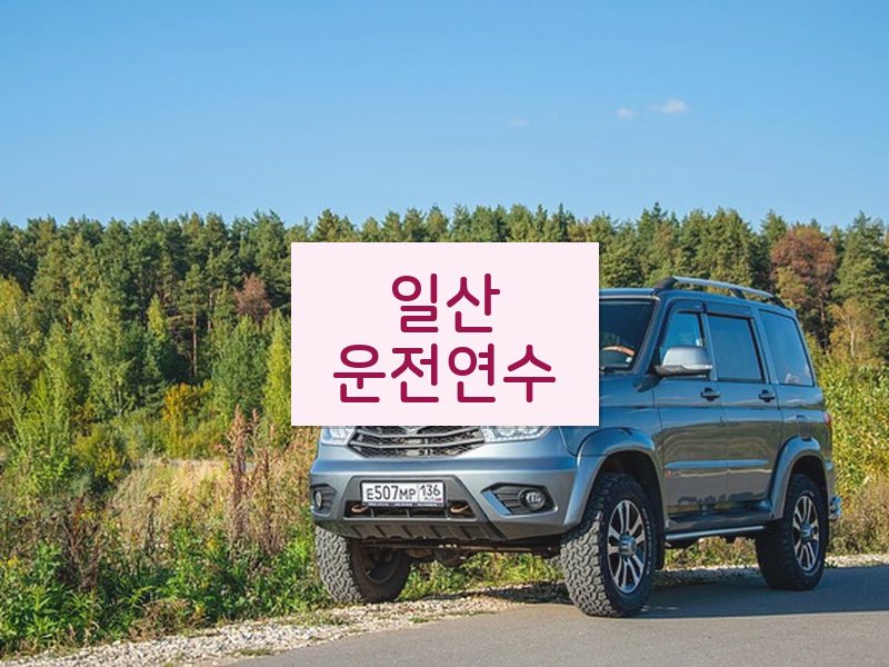 일산운전연수 후기