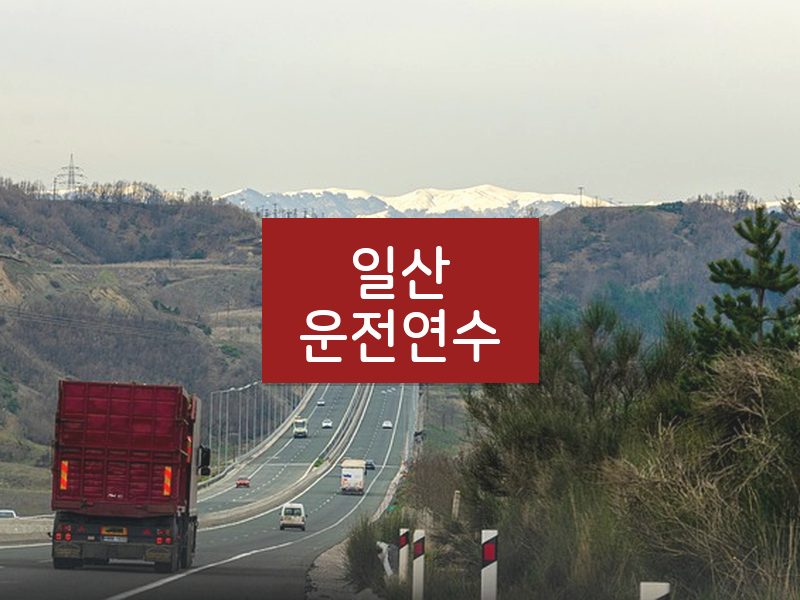 일산운전연수 후기