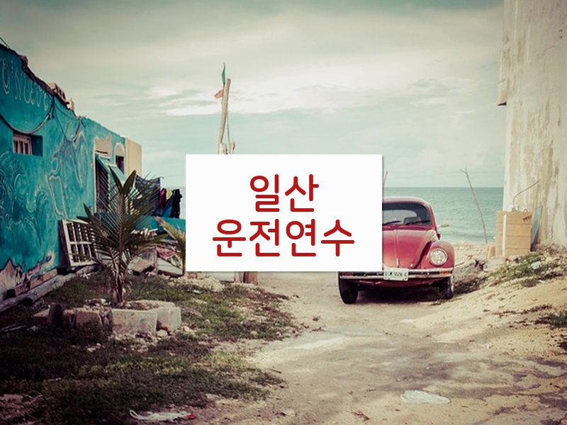 일산운전연수 후기