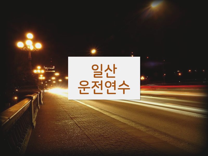 일산운전연수 후기