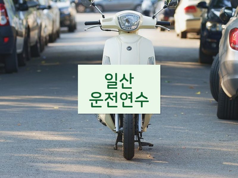 일산운전연수 후기