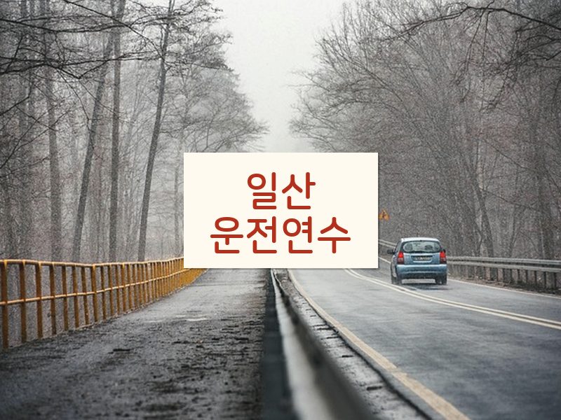 일산운전연수 후기