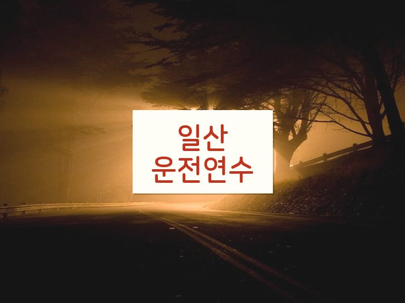 일산운전연수 후기