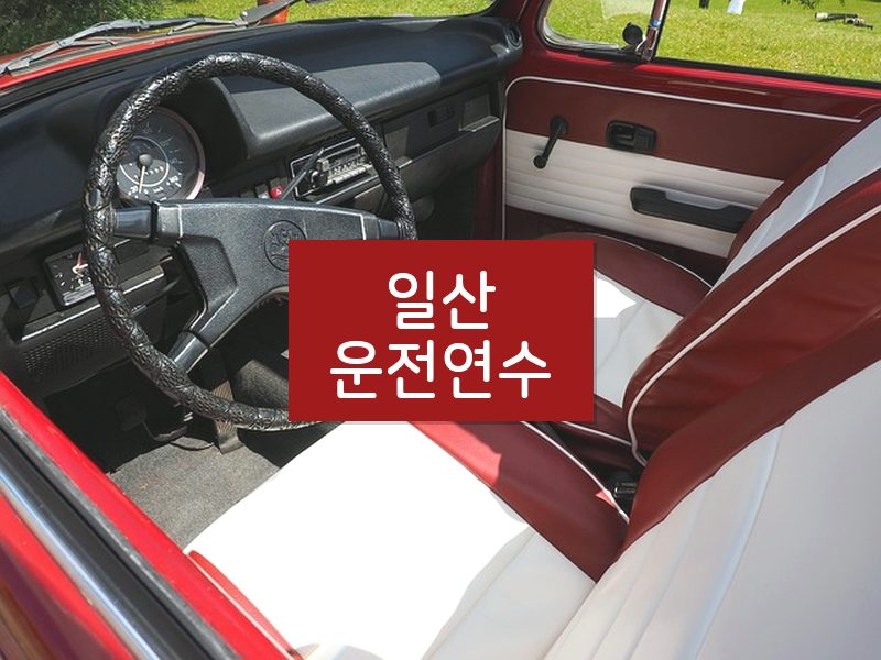 일산운전연수 후기