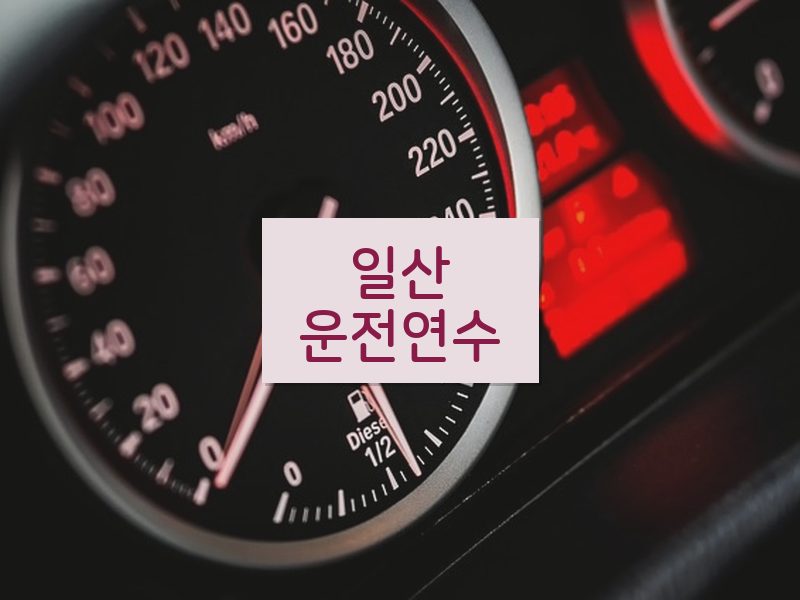 일산운전연수 후기