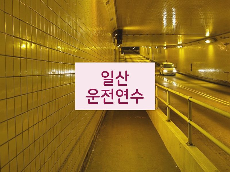 일산운전연수 후기