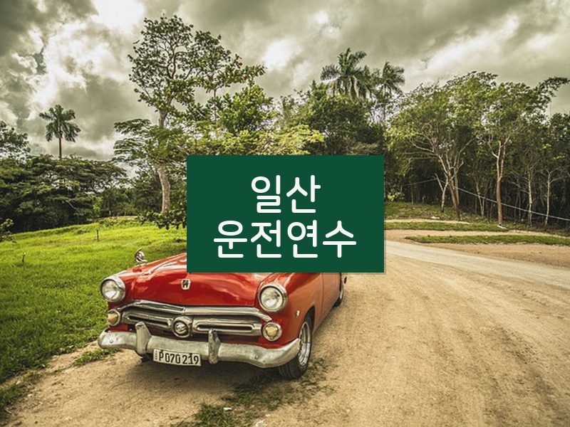 일산운전연수 후기
