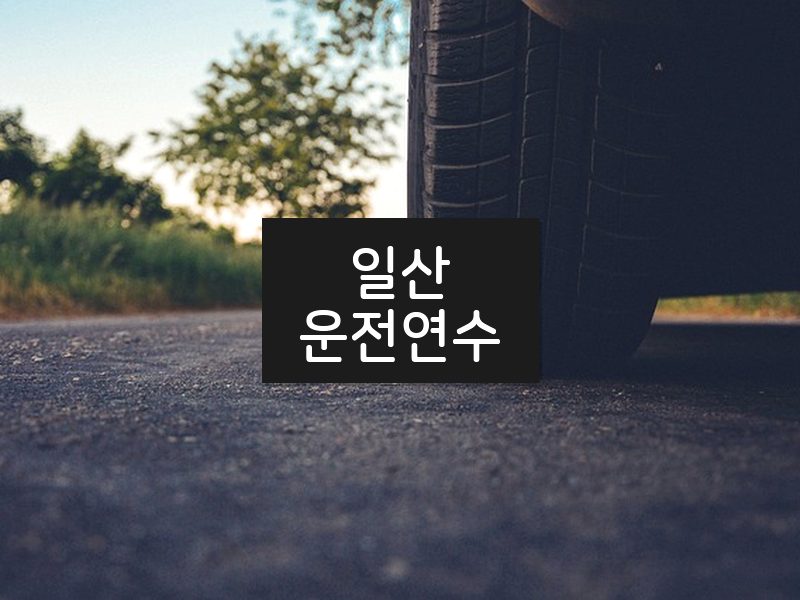 일산운전연수 후기