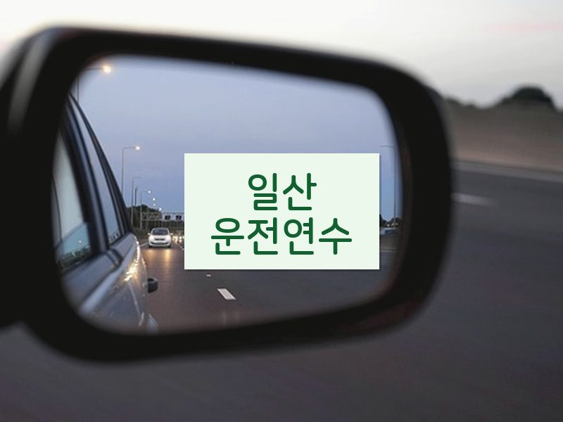 일산운전연수 후기