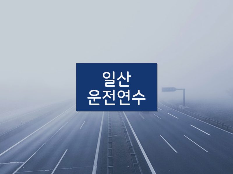 일산운전연수 후기