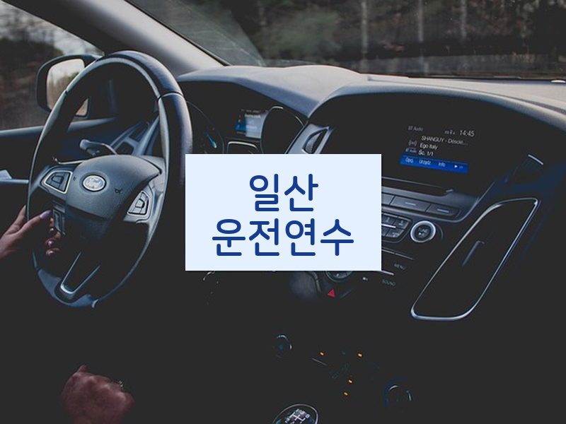 일산운전연수 후기
