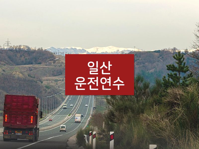 일산운전연수 후기