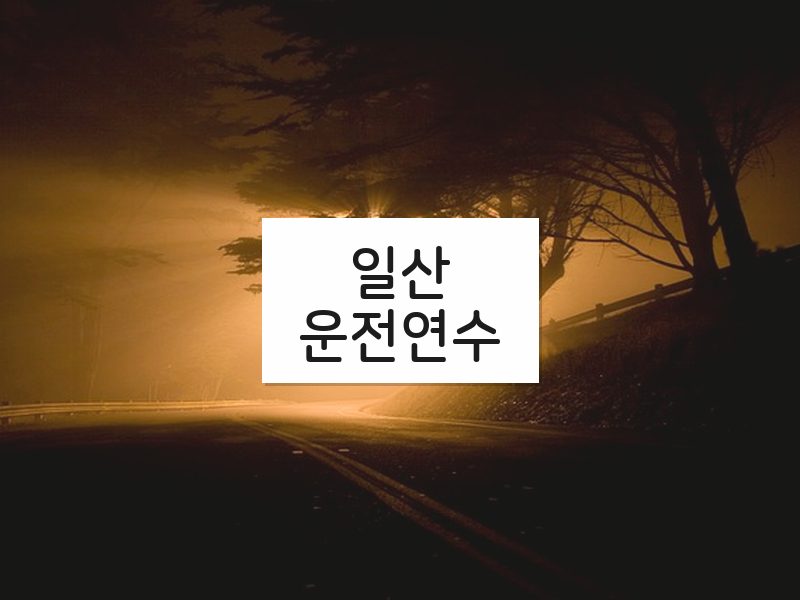 일산운전연수 후기