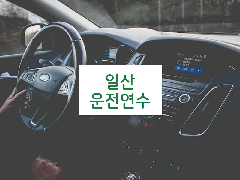 일산운전연수 후기