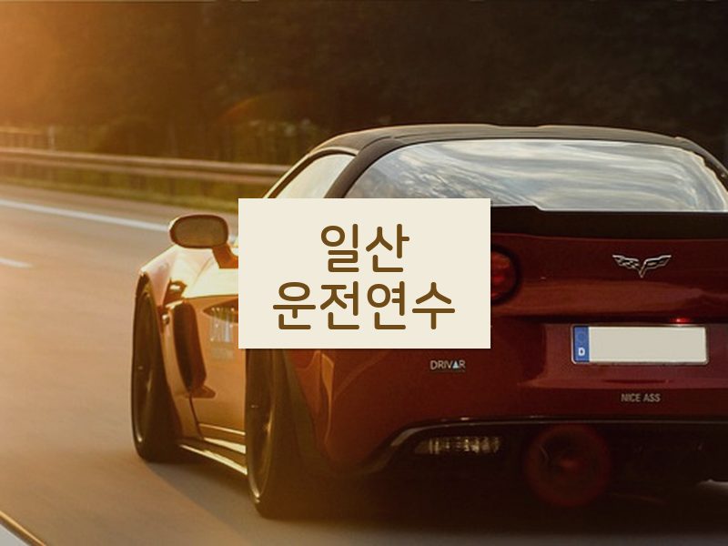 일산운전연수 후기