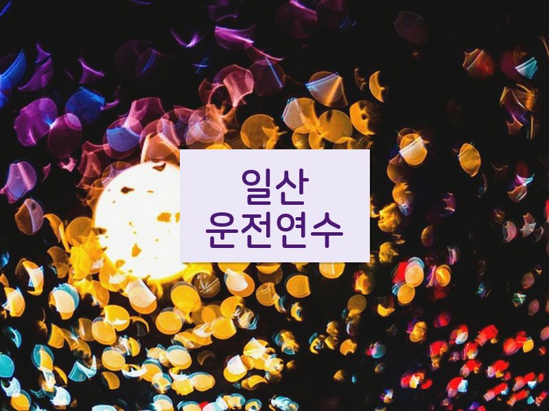 일산운전연수 후기
