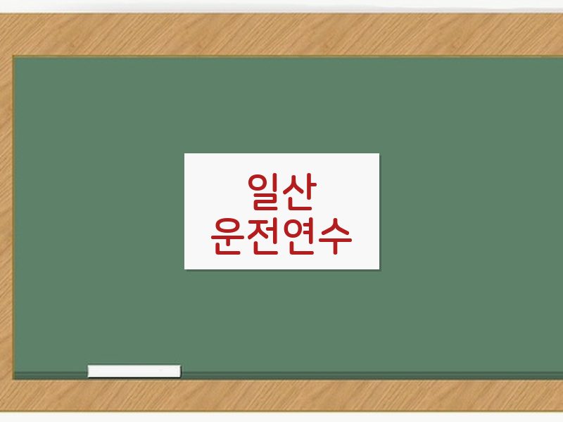 일산운전연수 후기