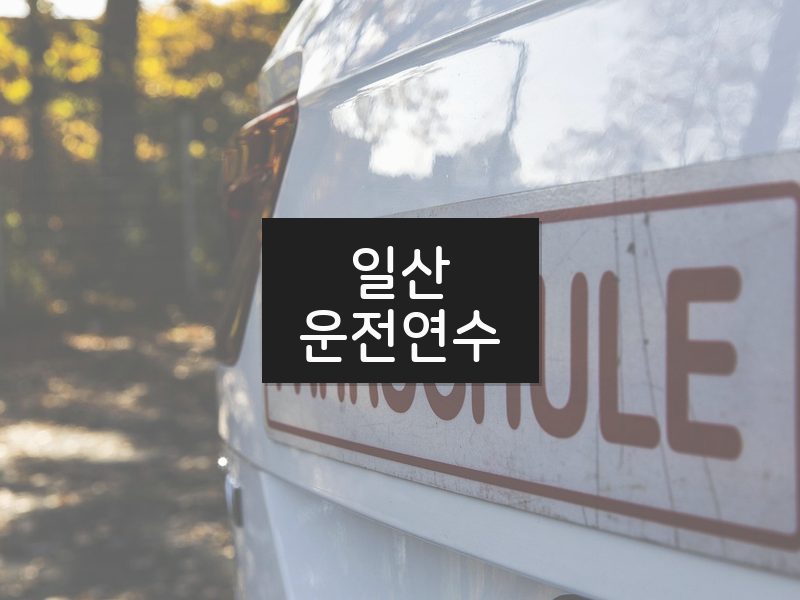 일산운전연수 후기