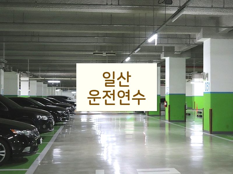 일산운전연수 후기