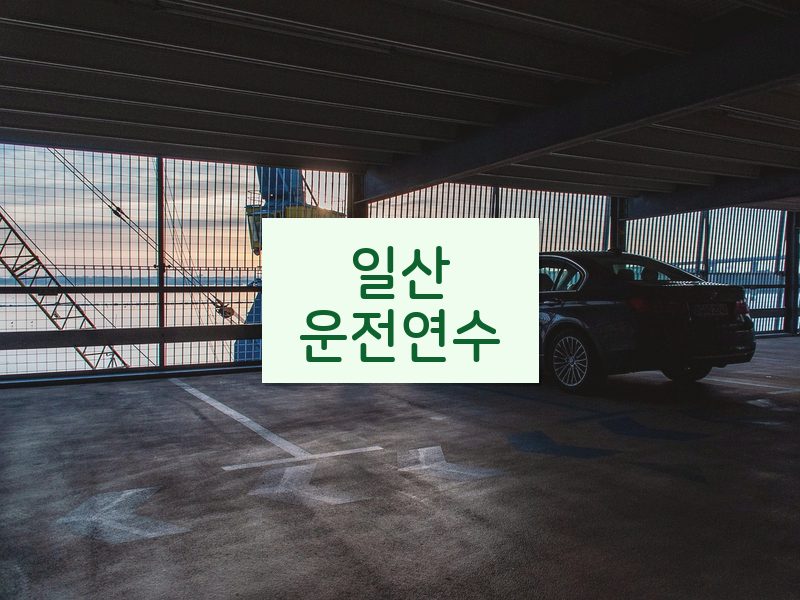 일산운전연수 후기