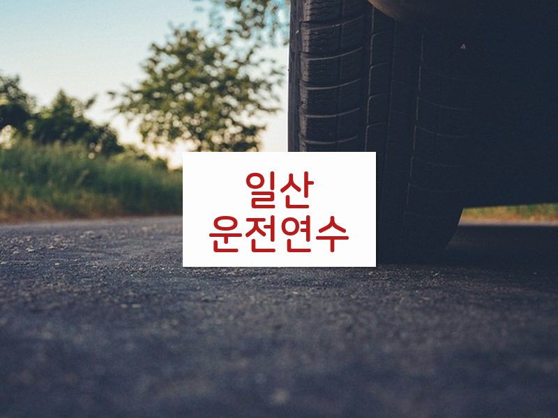 일산운전연수 후기