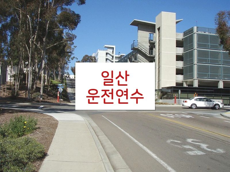 일산운전연수 후기