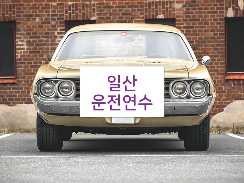 일산운전연수 후기