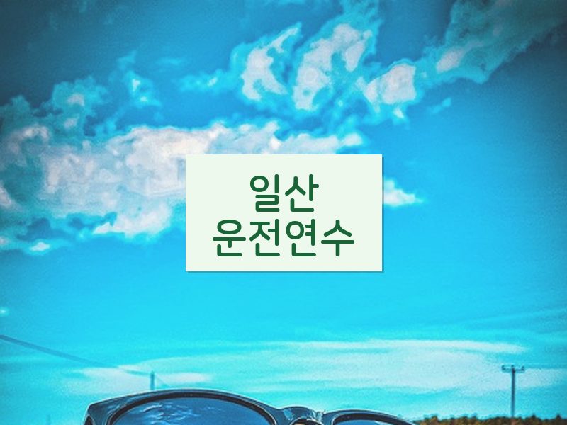 일산운전연수 후기