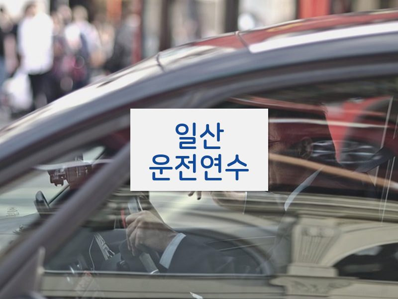 일산운전연수 후기