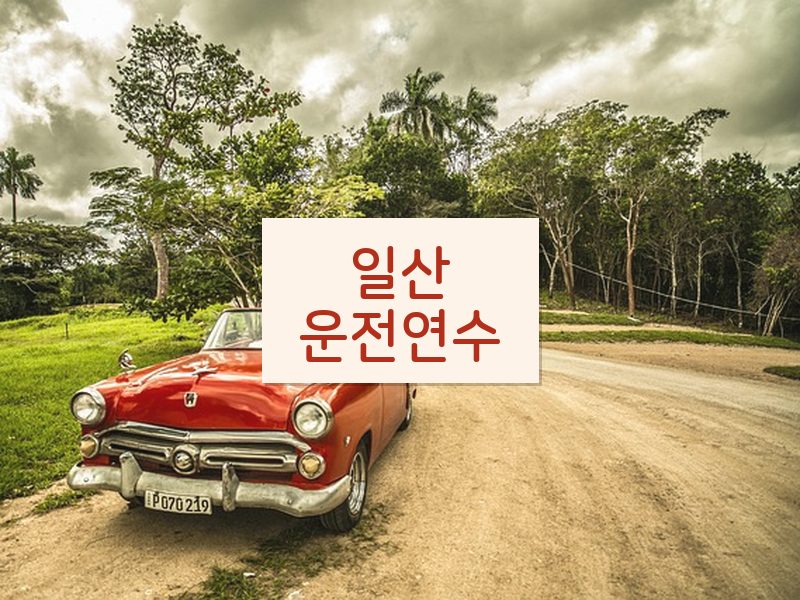 일산운전연수 후기
