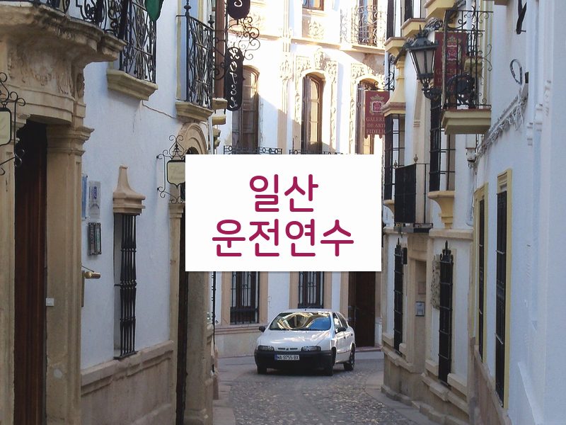 일산운전연수 후기