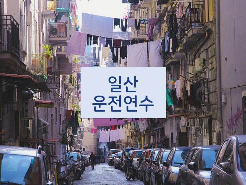 일산운전연수 후기