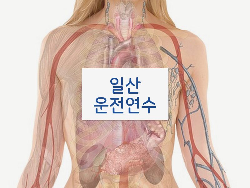 일산운전연수 후기