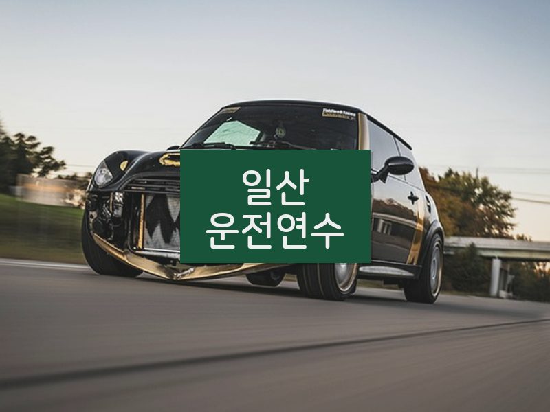 일산운전연수 후기