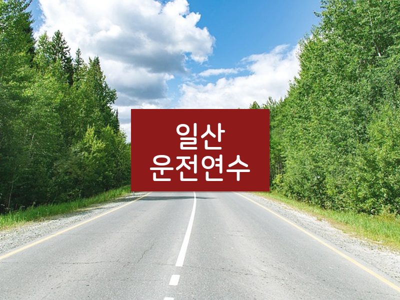 일산운전연수 후기