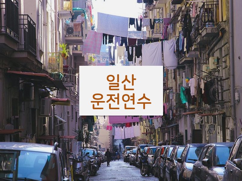 일산운전연수 후기