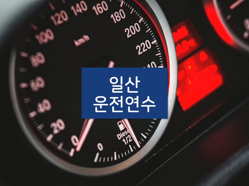 일산운전연수 후기