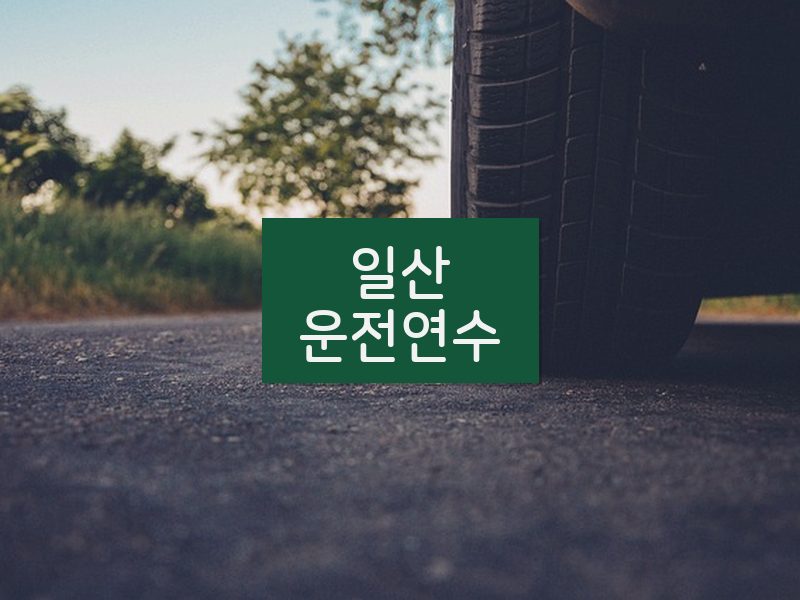 일산운전연수 후기